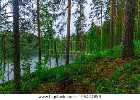 Landscape Of Lakes And Forest Along The Punkaharju Ridge