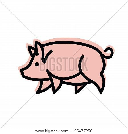 Colorful stylized drawing of pig swine - for icon or sign template