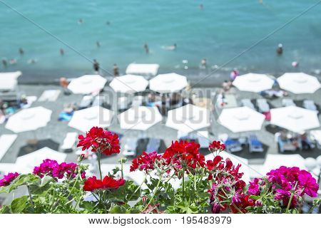Flowers against the background of beach umbrellas, the sea and sky. In the background, beach umbrellas are not focused. Selected focus. Background in style Vacation and travel Horizontal