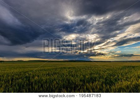 Lumen In The Clouds Over The Rye Field.