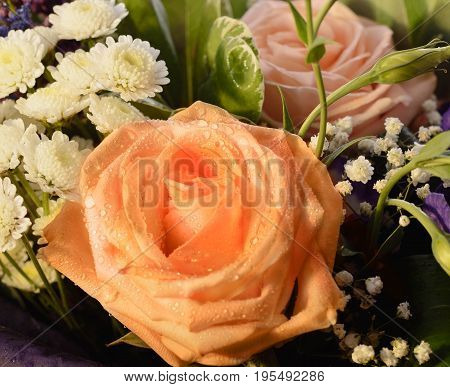 Bouquet of flowers roses gerbera flowers bouquet of flowers.
