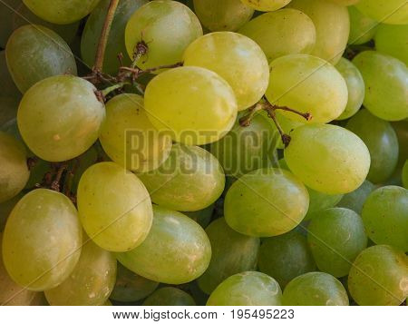 White Grape Fruit Food