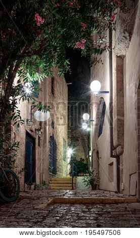 Queet Street - Mazal Dagim At Night In Old City  Yafo, Israel.