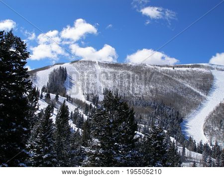this is an image of ski trails on a mountain in Utah