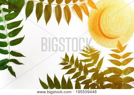 Green leaf branches and straw haton white background. flat lay, top view. Copy space. Still life. Sun Flare