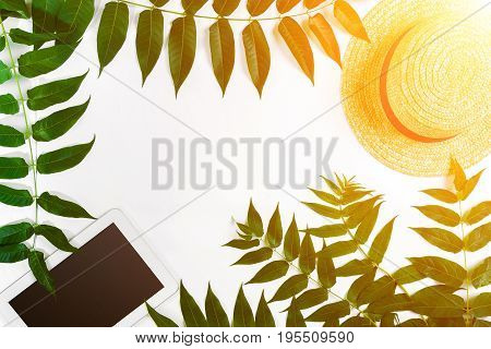 Green leaf branches, tablet and straw haton white background. flat lay, top view. Copy space. Still life. Sun Flare