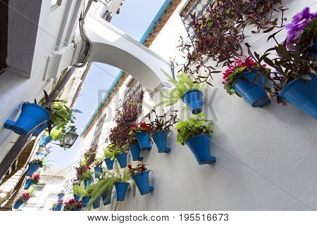 Flowers In Flowerpot On The White Walls On Famous Flower Street Calleja De Las Flores In Old Jewish