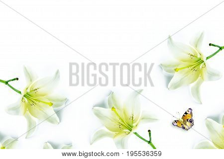 Flower lily isolated on white background. summer. Flat lay top view