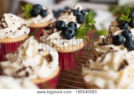 Handmade capcake with cream. Muffins with cream chocolate mint and blueberries
