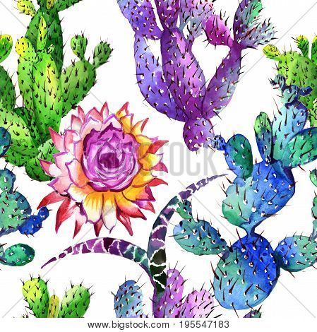 Wildflower cactus flower pattern in a watercolor style. Full name of the plant: cactus. Aquarelle wild flower for background, texture, wrapper pattern, frame or border.