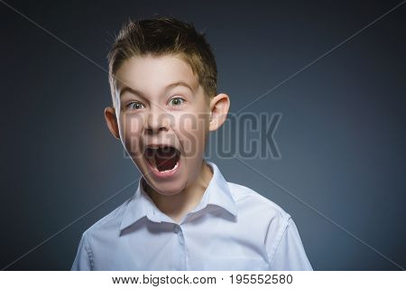 Closeup Scared and shocked little boys. Studio shot portrait over gray background. Human emotion face expression. Life perception achievement vision.