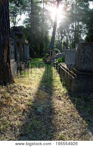 alley on the cemetery illuminated by morning sun with a lens flare effect