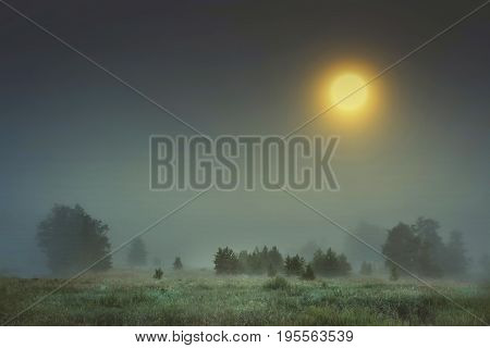 Autumn night landscape of cold foggy nature with large bright yellow moon in sky. Moonlight falls on trees and grass in fog. melancholic landscape of night meadow in autumn