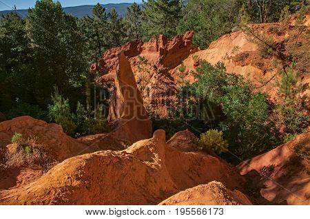 View of ocher land, trees under a sunny blue sky, in the park 