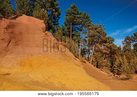 View of ocher land, trees under a sunny blue sky, in the park 