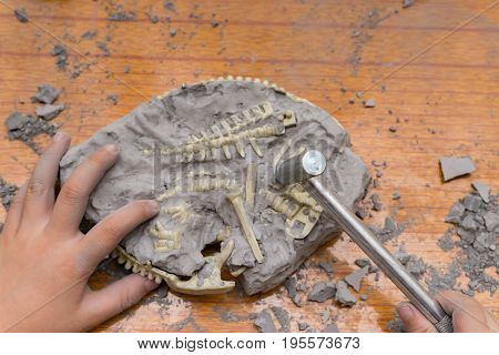 kid excavating dinosaur bones from a rock