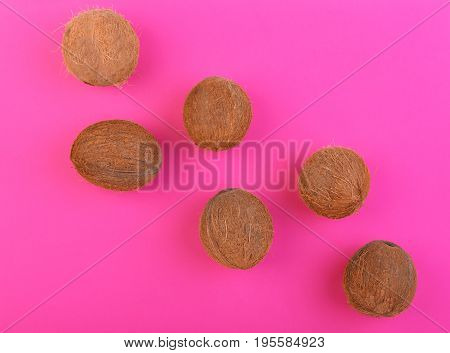 A lot of fresh, organic, ripe and whole coconuts on a bright pink background. Fresh nutritious coconuts. Exotic cocos on a pink background. Whole hard nuts. Summer fruits.