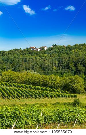 Green countryside landscape, hills and vineyards in Daruvar region, Croatia