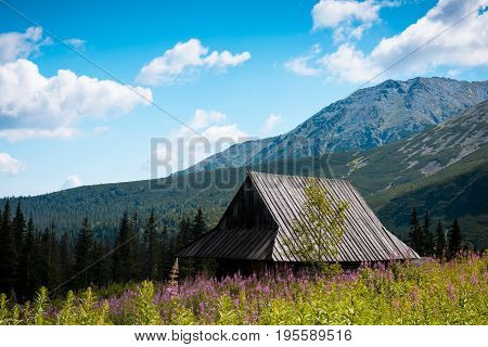 Summer view to Hala Gasienicowa in valley, Tatra mountains Zakopane Poland