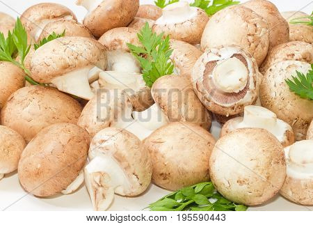 Background of the fresh whole uncooked button mushrooms with several parsley twigs
