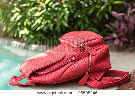 Stylish red leather snkeskin python rucksack near the swimming pool.
