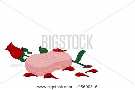 composition of rose petal and pink soap on transparent background