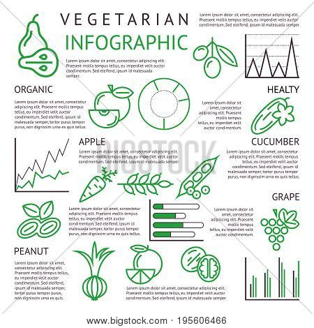 Digital black green vegetable icons set infographics drawn simple line art, onion squash pear orange apple grape carrot wallnut peas watermelon cabage, flat, organic vegetarian food