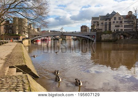 York historic English city with ducks on River Ouse and Lendal bridge