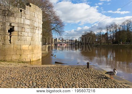 York historic English city with ducks on River Ouse and Lendal bridge