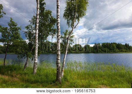 Nature