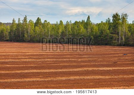 Peat Bog