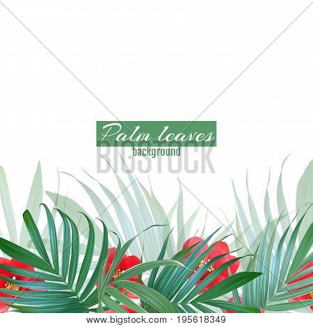 Vector palm leaves and flowers poster. Tropical banner. Stylish background with exotic plants. Hawaiian blooming design. Botanical frame. Ttropic flower bouquet.
