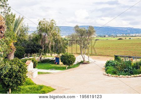 Outdoor countryside meadow grass nature. Rural field landscape