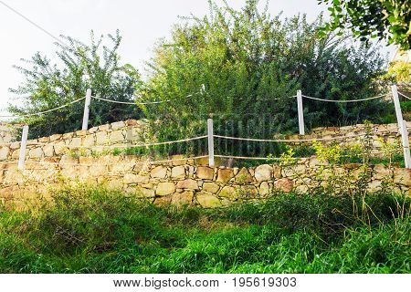 Outdoor countryside meadow grass nature. Rural field landscape