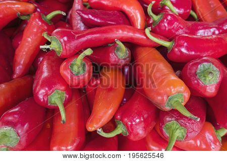 Sale Of Hot Red Pepper