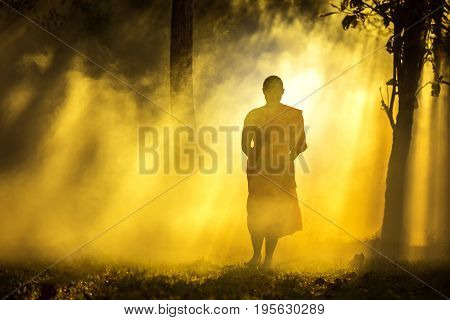 Monk walking in temple meditating under a tree at Bangkokbuddhist temple in Thailand