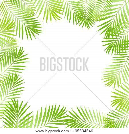 Summer tropical palm tree leaves border frame background. Vector grunge design for card poster. Natural tropical palm tree on white.