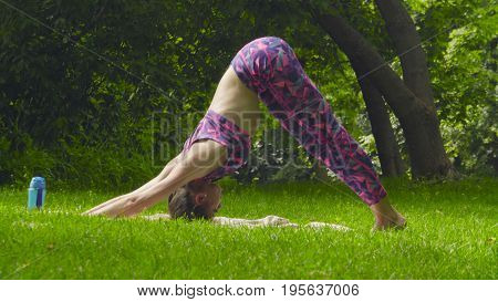 Young woman doing yoga exercises in the park. Artha mukha svanasana