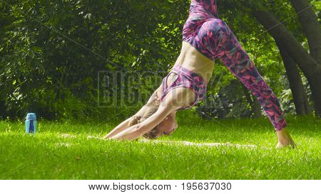 Young woman doing yoga exercises in the park. Artha mukha svanasana