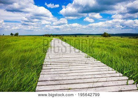 Wonderful Wide View Over Wooden Trail At The National Park High Fens Between Eifel And Ardennes