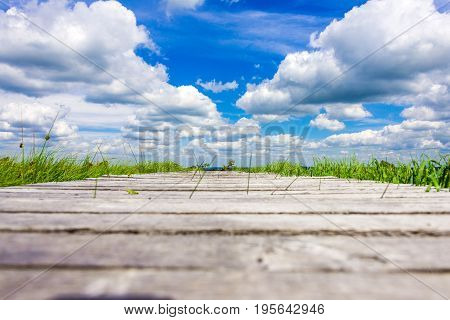 Wonderful Wide View Over Wooden Trail At The National Park High Fens Between Eifel And Ardennes