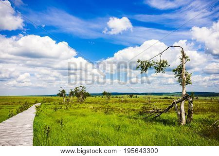 Beautiful Wide View Path Gangplank At The National Park High Fens Between Eifel And Ardennes