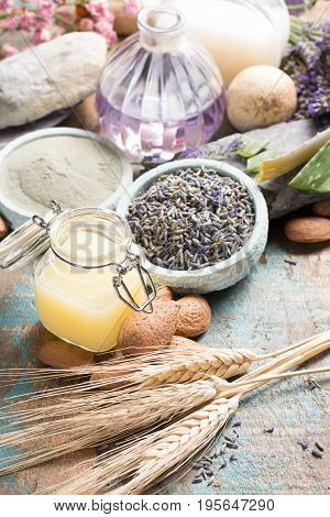 Nature cosmetics handmade preparation with essential oils and ancient minerals of perfume skincare creams soaps from fresh and dried lavender flowers roses wheat almond nuts green clay powder in French artisanal boutique home style