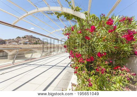 Promenade at the Guadalentin river in Lorca Province of Murcia southern Spain