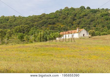 Farm House With  Flowers And Pine Trees In Cercal