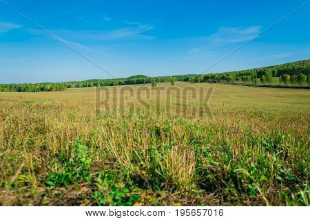 Meadow in the field after haymaking far beyond the city. At the foot of the mountain.