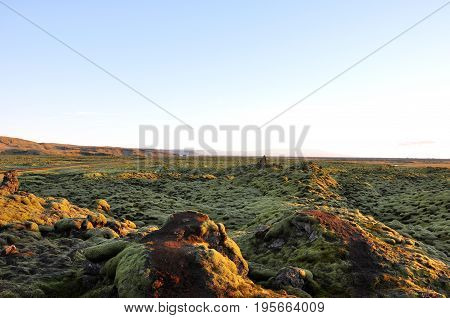moss-covered rocks on old lava fields in Iceland
