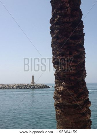 Lighthouse and palm tree at puerto banus Marbella Spain