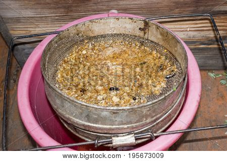 Strain the poured honey through a sieve. How to Harvest Honey. Filtering raw honey.