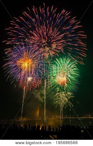 Big and colorful firework explode in dark sky in celebration time